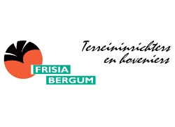 Frisia Bergum