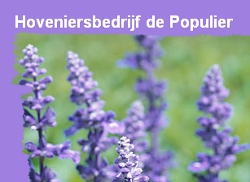 Hoveniersbedrijf De Populier